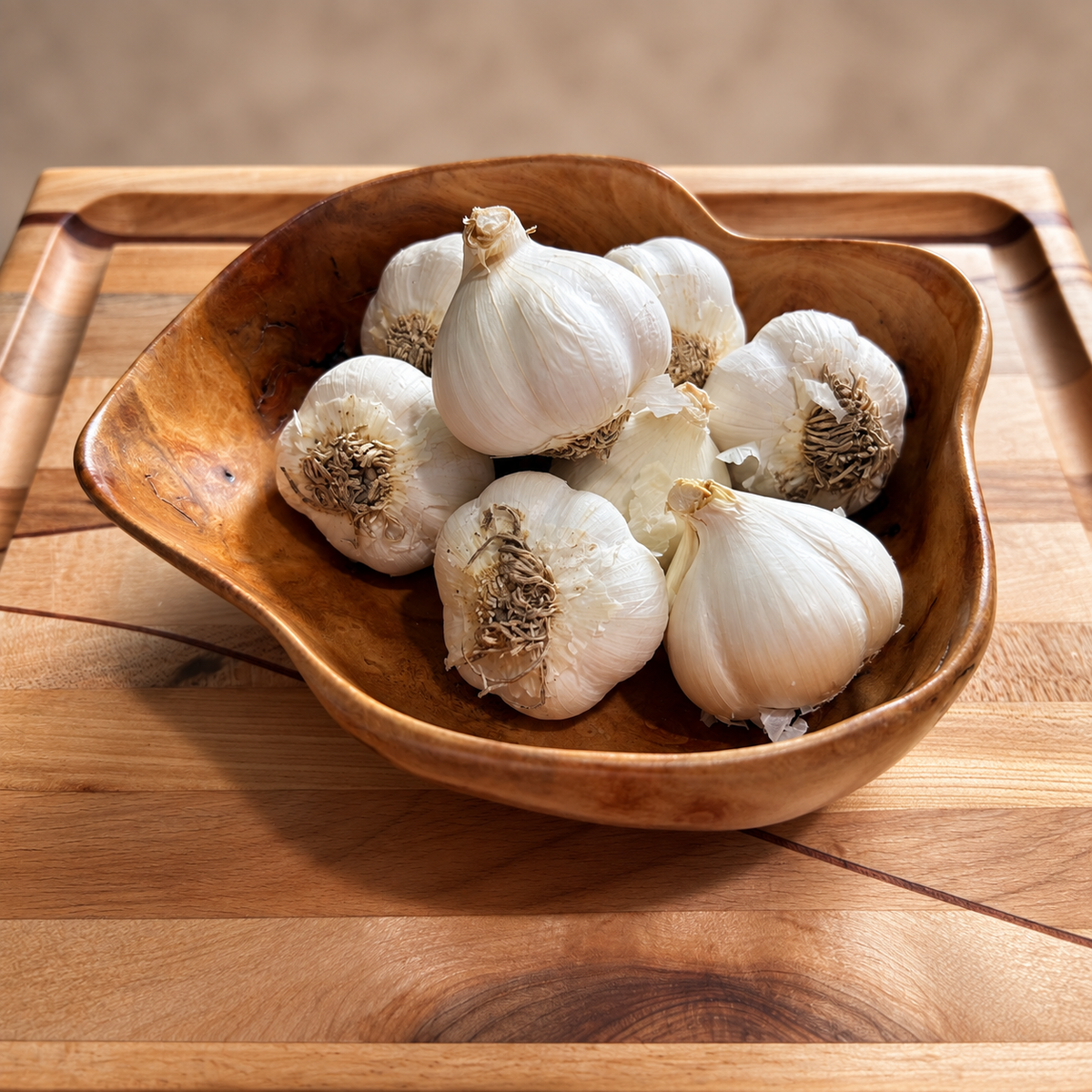 Blue Music Hardneck Seed Garlic