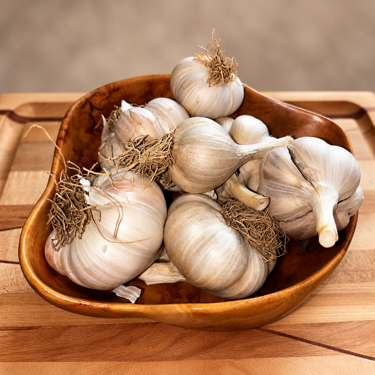 Organic Music Hardneck Seed Garlic