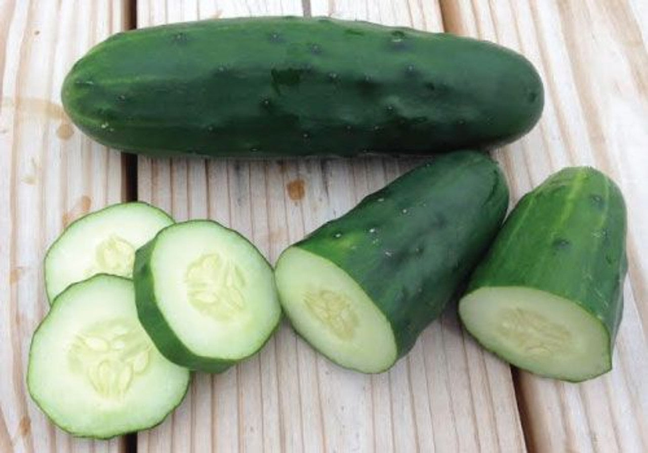 Cucumber