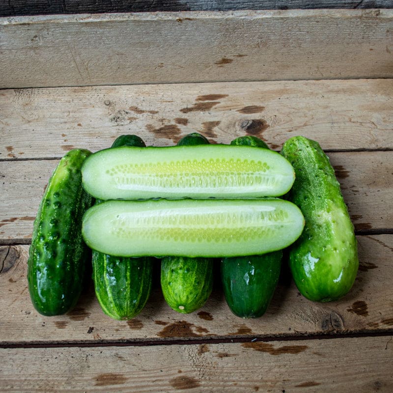 Cucumber