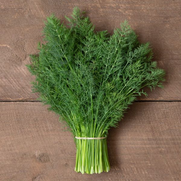 Dill