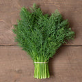 Dill