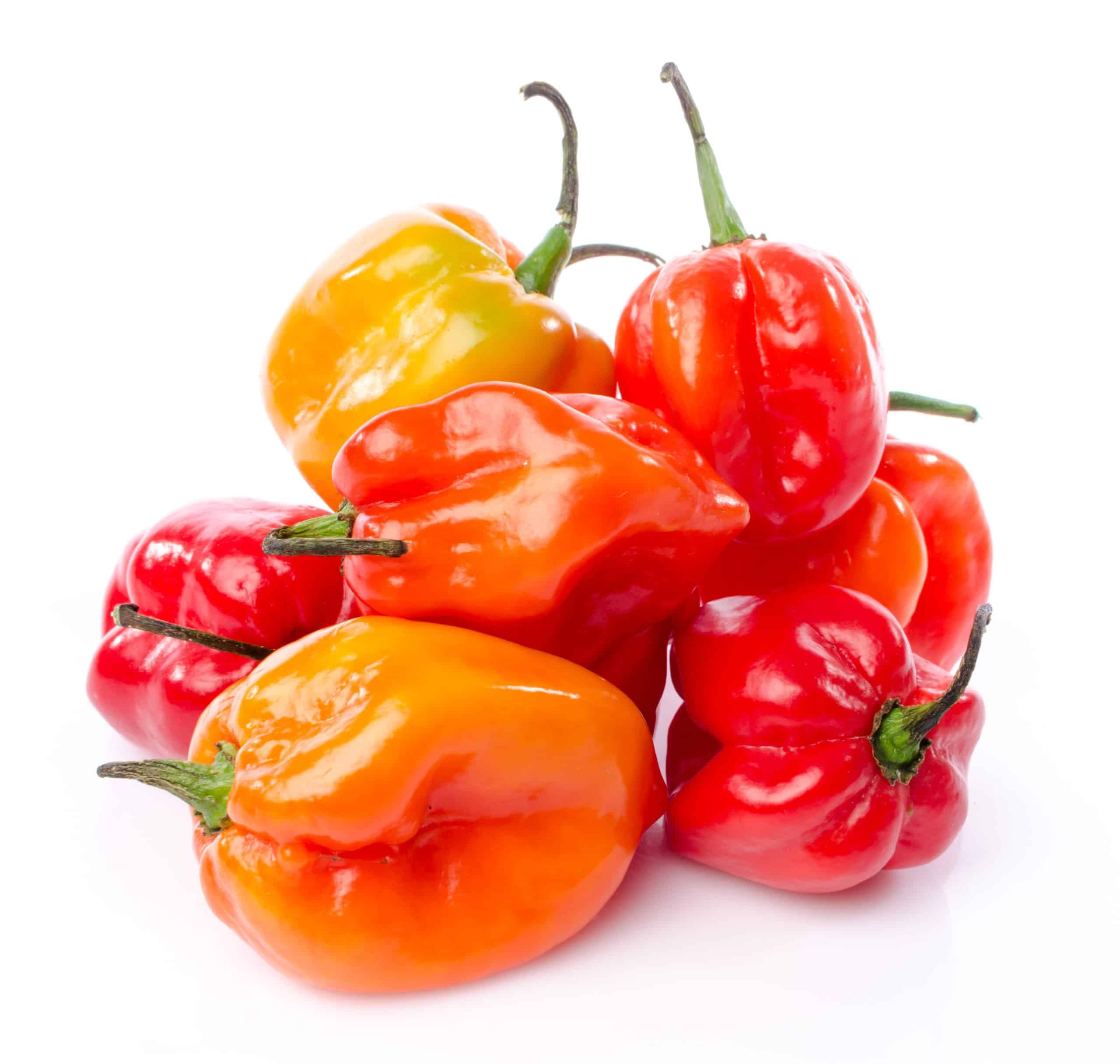 Pepper