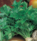 Parsley