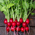 Radish