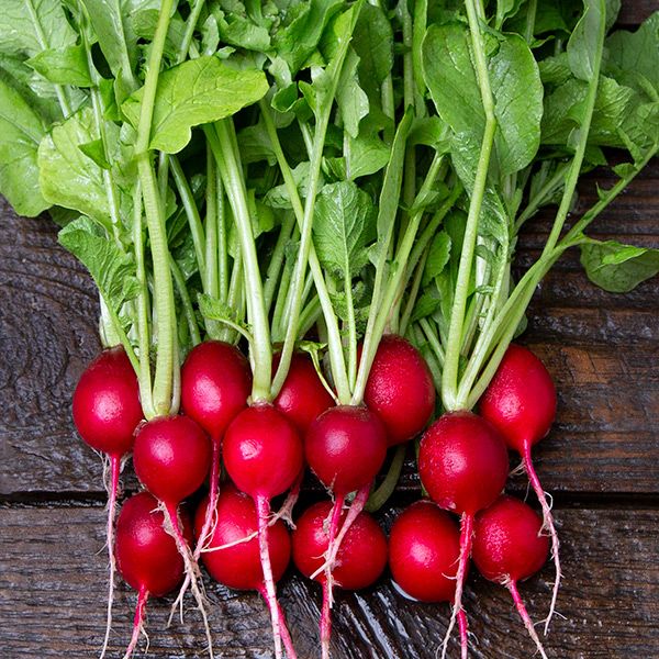 Radish