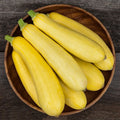 Summer Squash