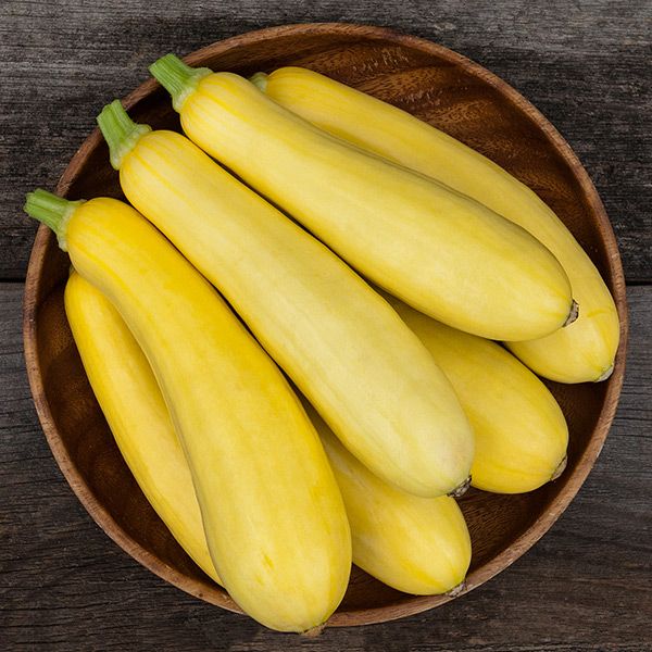 Summer Squash