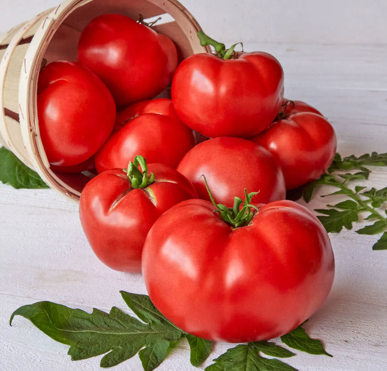 Tomato