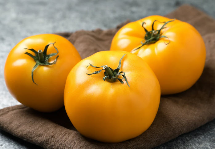 Tomato