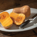 Winter Squash