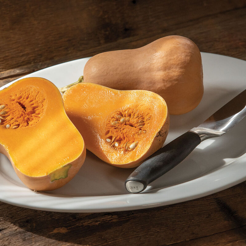 Winter Squash