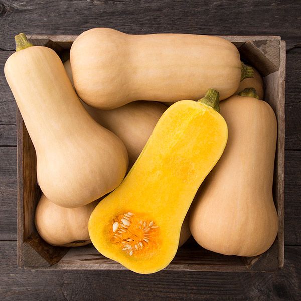 Winter Squash