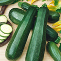 Zucchini