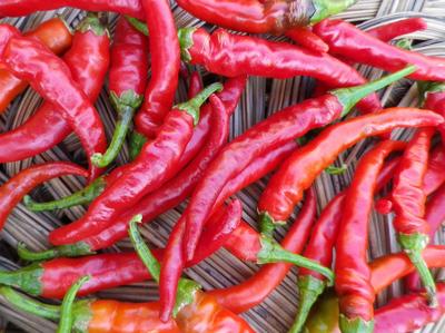 Pepper