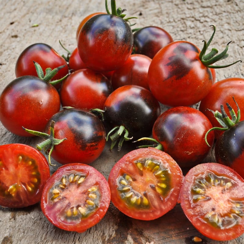 Tomato